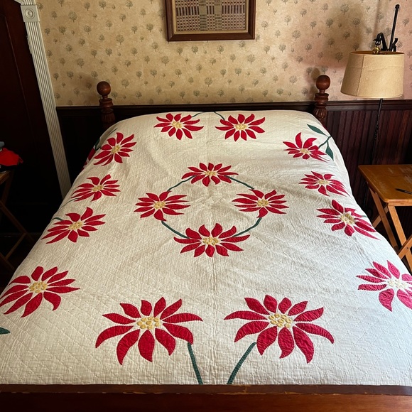 Meet your Posher, Wendy - Picture 4 of 8